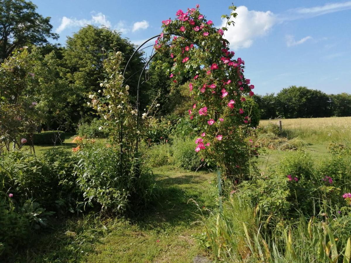 Les Berges De La Planchette Bed & Breakfast Yvignac-la-Tour ภายนอก รูปภาพ